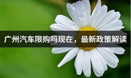 广州汽车限购政策最新2023年_广州汽车
