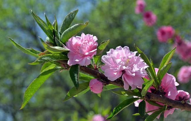 昆山汽车打蜡_昆山汽车打蜡哪里好