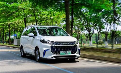 大通新能源汽车ev30_大通新能源汽车ev30参数配置